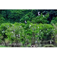 Khu bảo tồn thiên nhiên là gì? Quy định pháp luật về khu bảo tồn thiên nhiên