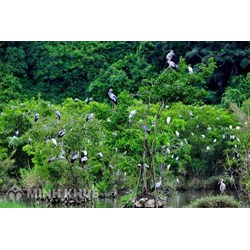 Khu bảo tồn thiên nhiên là gì? Quy định pháp luật về khu bảo tồn thiên nhiên