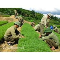 Đoàn kinh tế - quốc phòng là gì? Quy định về thành lập và giải thể đoàn kinh tế - quốc phòng