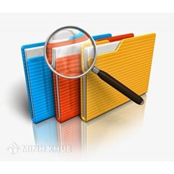 Một số biểu mẫu sử dụng trong các nghị quyết, quyết định về chính sách hỗ trợ các đối tượng bị ảnh hưởng bởi đại dịch Covid-19