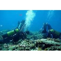 Quyền và nghĩa vụ của tổ chức, cá nhân nước ngoài tiến hành nghiên cứu khoa học trong vùng biển Việt Nam