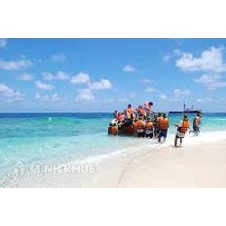 Trình tự cấp quyết định cấp phép nghiên cứu khoa học tại vùng biển Việt Nam cho cá nhân, tổ chức nước ngoài