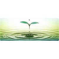 Hồ sơ, thủ tục cấp phép khai thác, sử dụng nước mặt, nước biển