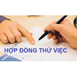 Quy định về hợp đồng thử việc theo Bộ luật lao động 2019