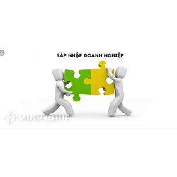 Mergers and Acquisitions (M&A) và phương pháp định giá
