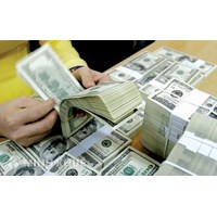 Bảo lãnh chính phủ là gì? Điều kiện được cấp bảo lãnh Chính phủ là gì?