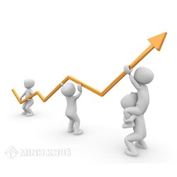 Các hành vi thỏa thuận ấn định giá hàng hóa, dịch vụ một cách trực tiếp hoặc gián tiếp và hành vi phân chia thị trường của các đơn vị kinh doanh