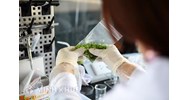 Hồ sơ, thủ tục đề nghị cấp Giấy chứng nhận đăng ký hoạt động thử nghiệm chất lượng sản phẩm, hàng hóa