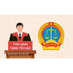 Người có thẩm quyền tiến hành tố tụng theo quy định của pháp luật tố tụng hình sự Việt Nam 