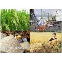 Điều kiện đăng ký kinh doanh xuất khẩu gạo theo quy định pháp luật hiện hành.