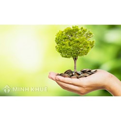 Quy định pháp luật về thành lập quỹ từ thiện, quỹ xã hội  