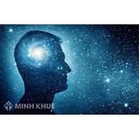 Phân tích chủ nghĩa hiện thực và chủ nghĩa duy danh