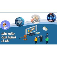 Đấu thầu qua mạng là gì? Phân biệt đấu thầu qua mạng và đấu thầu trực tiếp