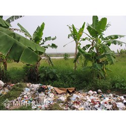 Mẫu hợp đồng dịch vụ thu gom, vận chuyển và xử lý chất thải rắn sinh hoạt