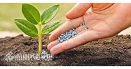 Điều kiện kinh doanh phân bón theo quy định pháp luật mới nhất hiện nay