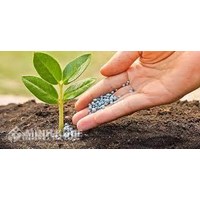 Điều kiện kinh doanh phân bón theo quy định pháp luật mới nhất hiện nay
