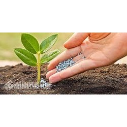 Điều kiện kinh doanh phân bón theo quy định pháp luật mới nhất hiện nay