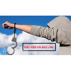 Biện pháp ngăn chặn: Bảo lĩnh và đặt tiền để bảo đảm