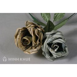 Quy định của pháp luật về tiền hoa hồng đại lý bảo hiểm ?