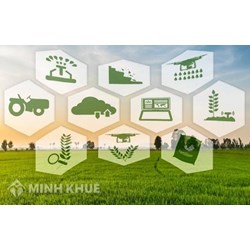 Thế nào là tái bảo hiểm nông nghiệp? Phòng, chống gian lận bảo hiểm trong bảo hiểm nông nghiệp