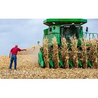 Các đối tượng bảo hiểm được hỗ trợ phí bảo hiểm nông nghiệp và mức hỗ trợ