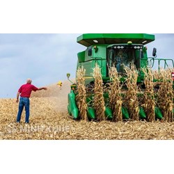 Các đối tượng bảo hiểm được hỗ trợ phí bảo hiểm nông nghiệp và mức hỗ trợ