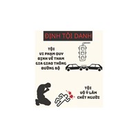 Tội vi phạm quy định về tham gia giao thông đường bộ Điều 260 BLHS