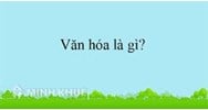 Phân biệt khái niệm văn hóa, văn minh, văn hiến và văn vật?