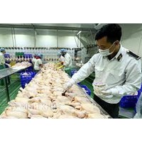 Thủ tục thành thành lập và điều kiện kinh doanh cơ sở giết mổ gia súc, gia cầm