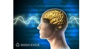 Phân tích trào lưu tư tưởng xã hội ở phương tây về sự thống nhất giữa hình thái lý luận và hình thái tâm lý