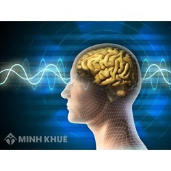 Phân tích trào lưu tư tưởng xã hội ở phương tây về sự thống nhất giữa hình thái lý luận và hình thái tâm lý