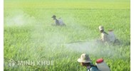 Trình tự, thủ tục cấp phép quảng cáo thuốc bảo vệ thực vật