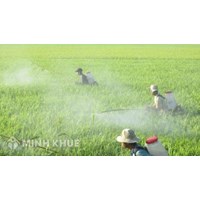 Trình tự, thủ tục cấp phép quảng cáo thuốc bảo vệ thực vật
