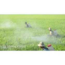 Trình tự, thủ tục cấp phép quảng cáo thuốc bảo vệ thực vật