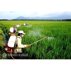 Bao gói thuốc bảo vệ thực vật phải bảo đảm các yêu cầu nào?