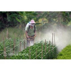 Nhập khẩu thuốc bảo vệ thực vật cần phải có giấy phép không?