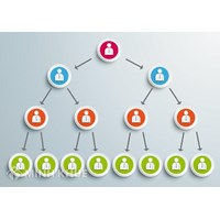 Doanh nghiệp hoạt động bán hàng đa cấp phải thực hiện báo cáo như thế nào?