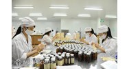 Điều kiện đối với người chịu trách nhiệm chuyên môn về dược của cơ sở sản xuất thuốc