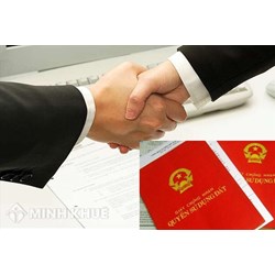 Những vấn đề pháp lý liên quan đến việc đồng sở hữu đất