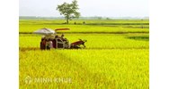 Những vấn đề cần lưu khi doanh nghiệp chuyển nhượng, nhận chuyển nhượng quyền sử dụng đất