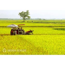 Những vấn đề cần lưu khi doanh nghiệp chuyển nhượng, nhận chuyển nhượng quyền sử dụng đất
