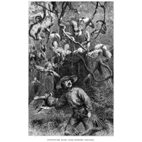 Phân tích lý thuyết sự bắt chước của Henry Bates