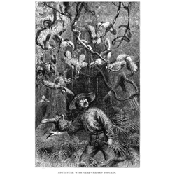 Phân tích lý thuyết sự bắt chước của Henry Bates