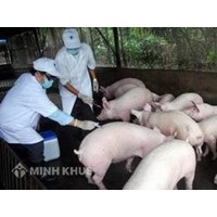 Nhiệm vụ và quyền hạn của Hội đồng thú y 
