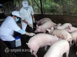 Nhiệm vụ và quyền hạn của Hội đồng thú y 