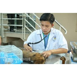 Thuốc thú y ghi nhãn không đúng quy định có bị thu hồi không?