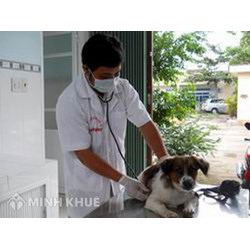 Quy định về cách ghi các nội dung trên nhãn thuốc thú y