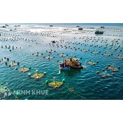 Nuôi trồng thủy sản phải đáp ứng điều kiện gì? Có phải xin Giấy phép không?