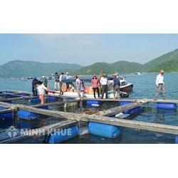 Thủ tục cấp phép nuôi trồng thủy sản trên biển cho tổ chức, cá nhân