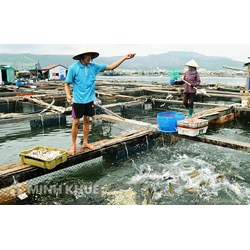 Mẫu biên bản kiểm tra cơ sở đủ điều kiện nuôi trồng thủy sản